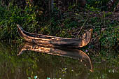 Kerala backwaters, our three hours neighborhood tour in the narrow canoe towards Vembanad Lake and along one of the  narrow canal running near our guest house at Kumarakom. 